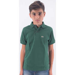Vêtements Enfant T-shirts & Polos Lacoste  Vert