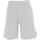 Vêtements Homme Shorts / Bermudas Lacoste Shorts core active Gris