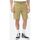 Vêtements Homme Shorts / Bermudas Dickies COBDEN DK0A4XES-KHK KHAKI Beige