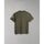 Vêtements Homme T-shirts & Polos Napapijri S-AMUNDSEN NP0A4H6B-GAE GREEN LICHEN Vert
