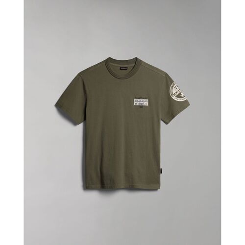 Vêtements Homme T-shirts & Polos Napapijri S-AMUNDSEN NP0A4H6B-GAE GREEN LICHEN Vert
