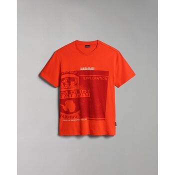 Vêtements Homme T-shirts & Polos Napapijri S-MANTA NP0A4H2C-R05 RED CHERRY Rouge