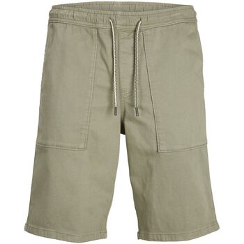 Vêtements Homme Shorts waist / Bermudas Jack & Jones 12229946 JOGGER AMA-DEEP LICHEN Vert