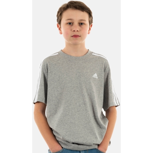 Vêtements Garçon T-shirts manches courtes adidas Originals ib1669 Gris