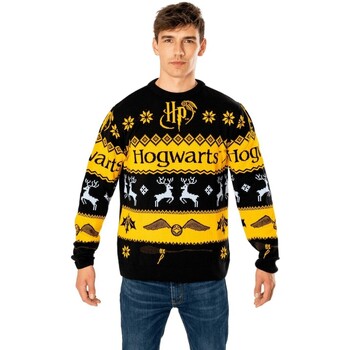 Vêtements Homme Sweats Harry Potter  Multicolore