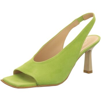 Chaussures Femme Escarpins Zinda  Vert