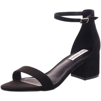 Chaussures Femme Rose is in the air Steve Madden  Noir