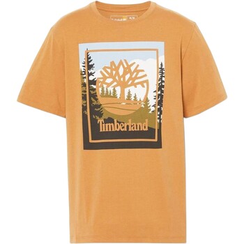 Vêtements Homme T-shirts manches courtes Timberland Superdry Emb Jaune