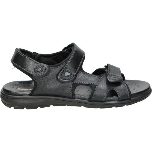Chaussures Homme Walk In Pitas Doctor Cutillas SANDALIAS  70115 CABALLERO NEGRO Noir