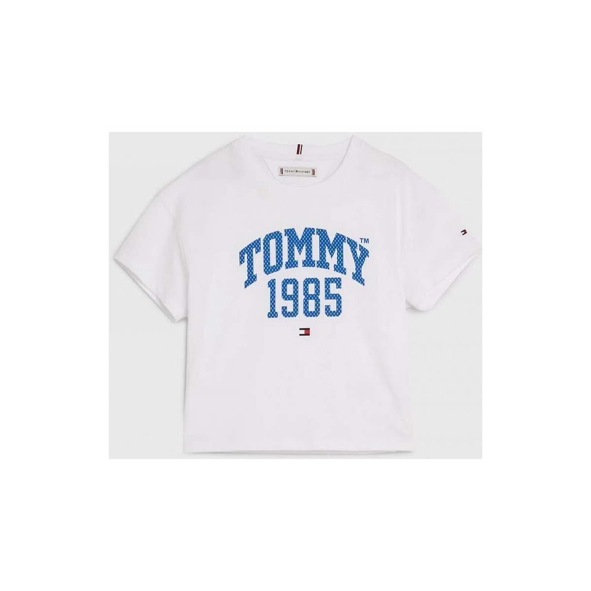 Vêtements Garçon T-shirts & Polos Tommy Hilfiger KG0KG07257-YBR WHITE Blanc