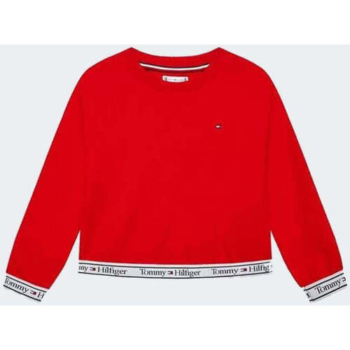 Vêtements Enfant Sweats Chaussettes Tommy Hilfiger  Rouge