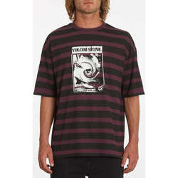 Vêtements Homme T-shirts manches courtes Volcom Psych Trip Tee Mulberry Violet