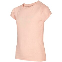 Vêtements Fille T-shirts manches courtes 4F HJL22JTSD00565S Orange
