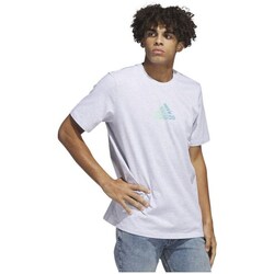 Vêtements Homme T-shirts manches courtes adidas Originals Power Logo Tee Blanc