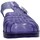 Chaussures Femme Sandales et Nu-pieds Melissa 33718 Violet