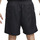Vêtements Shorts / Bermudas Nike SB Noir