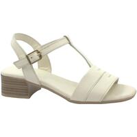 Chaussures Femme Walk Intreccio Cocomut Melluso MEL-E23-K56028D-CR Blanc
