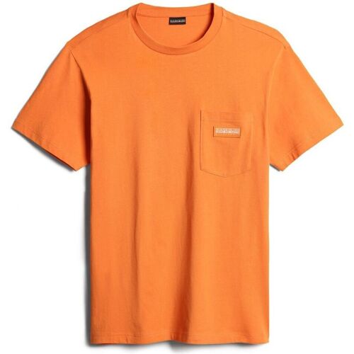 Vêtements Homme T-shirts & Polos Napapijri S-MORGEZ NP0A4GBP-A1X ORANG AMBER Orange