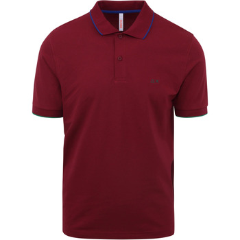 Vêtements Homme T-shirts & Polos Sun68 Polo Petites Rayures Bordeaux Bordeaux