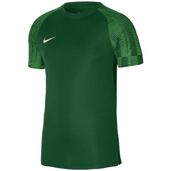Vêtements Garçon T-shirts blue manches courtes Nike Academy Vert