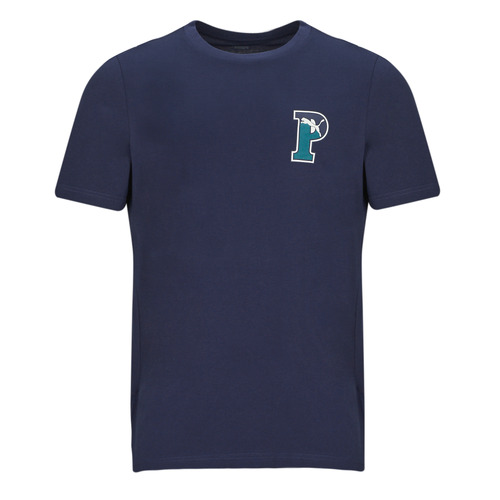 Vêtements Homme T-shirts manches courtes Deviate Puma Deviate PUMA SQUAD BADGE TEE Marine