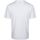 Vêtements Homme Chemises manches courtes Kawasaki Kabunga Unisex S-S Tee K202152 1002 White Blanc