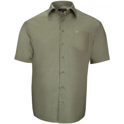 Vêtements Homme Chemises manches courtes Doublissimo chemisette forte taille unie primino vert Vert