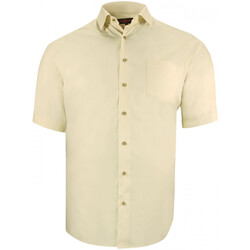 Vêtements Homme Chemises manches courtes Doublissimo chemisette forte taille unie primino beige Beige