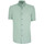 Vêtements Homme Chemises manches courtes Emporio Balzani chemisette lin classique coupe droite olina vert Vert