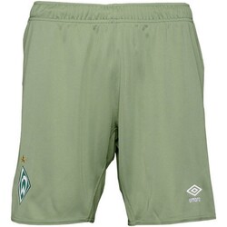Vêtements Enfant mens Shorts / Bermudas Umbro  Vert