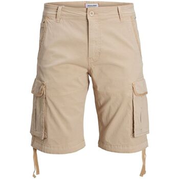 Vêtements Homme Shorts waist / Bermudas Jack & Jones 12205883 ZEUS-OXFORD TAN Beige