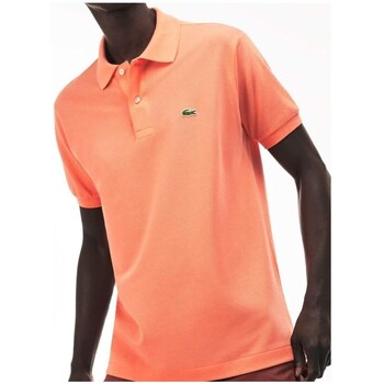 Vêtements Homme T-shirts manches courtes Lacoste D121200NU1 Orange