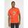 Vêtements Homme T-shirts manches courtes Volcom Camiseta  Gony Basic SS Burnt Ochre Orange
