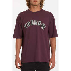 Vêtements Homme T-shirts manches courtes Volcom Camiseta  Hi School Multiberry Violet