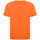 Vêtements Homme T-shirts manches courtes Brvn Essentials Orange