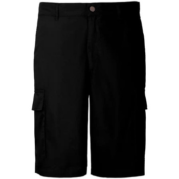 Vêtements Homme Shorts / Bermudas Brvn True Colors 
