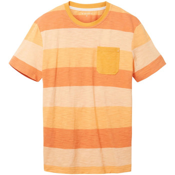 Vêtements Homme puffy sleeve logo sweatshirt Tom Tailor 146059VTPE23 Orange