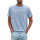 Vêtements Homme T-shirts manches courtes Tom Tailor 146070VTPE23 Bleu