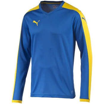 Vêtements Homme T-shirts & Polos Puma Maillot de foot HOMME  PITCH ML SHIRT Bleu