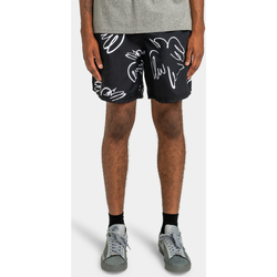 Vêtements Homme Shorts / Bermudas Element Chillin Hybrid noir - birds