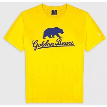 Vêtements Homme T-shirts Millet manches courtes Champion Berkeley University Jaune
