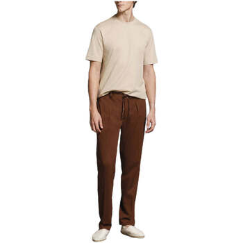 Vêtements Homme Pantalons Circolo 1901  Marron