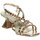 Chaussures Femme Rideaux / stores Braccialini F29 Doré