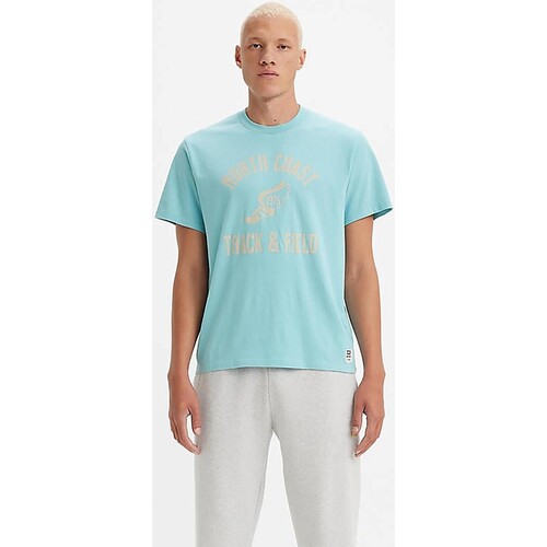 Vêtements Homme T-shirts manches courtes Levi's  Multicolore