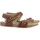 Chaussures Fille Sandales et Nu-pieds Timberland Sandale Plate à Bride Juniors Castle Island Blackstrap Marron