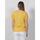 Vêtements Femme T-shirts manches courtes Superdry Studios slub emb vee tee yellow Jaune