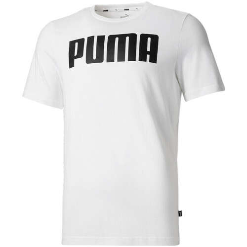 Vêtements Homme T-shirts & Polos Puma 847223-02 Blanc