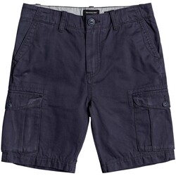 Vêtements Garçon Shorts / Bermudas Quiksilver Junior - Bermuda - marine Autres