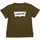 Vêtements Garçon T-shirts manches courtes Levi's T-Shirt Bébé logotypé Vert