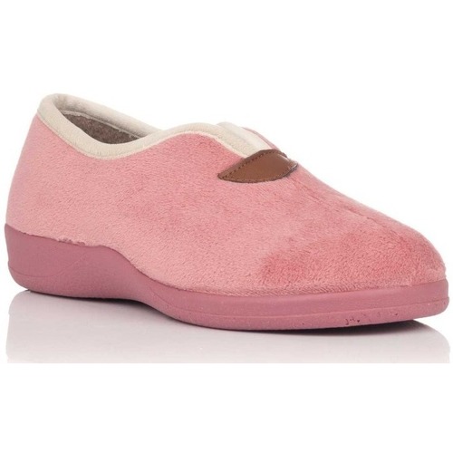 Chaussures Femme Chaussons Ruiz Y Gallego 880 SUAPEL Rose